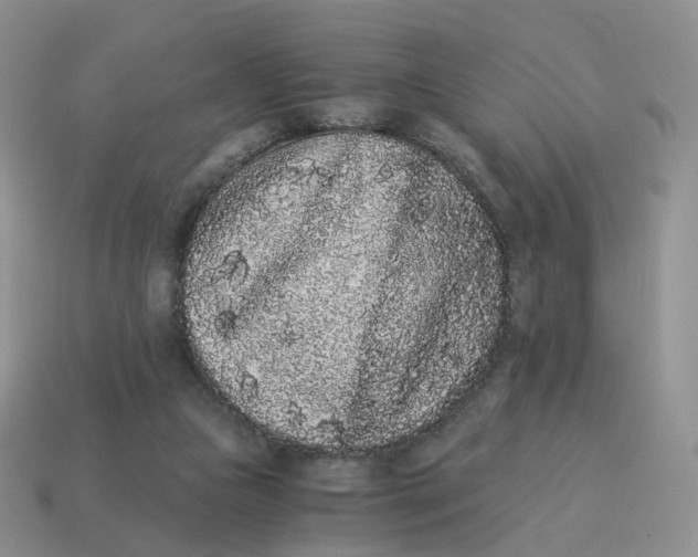 X0000114520161200911091158