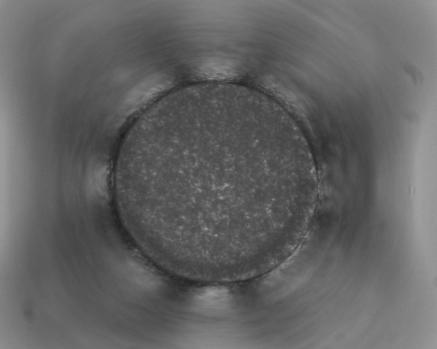 X0000114520162200911091158