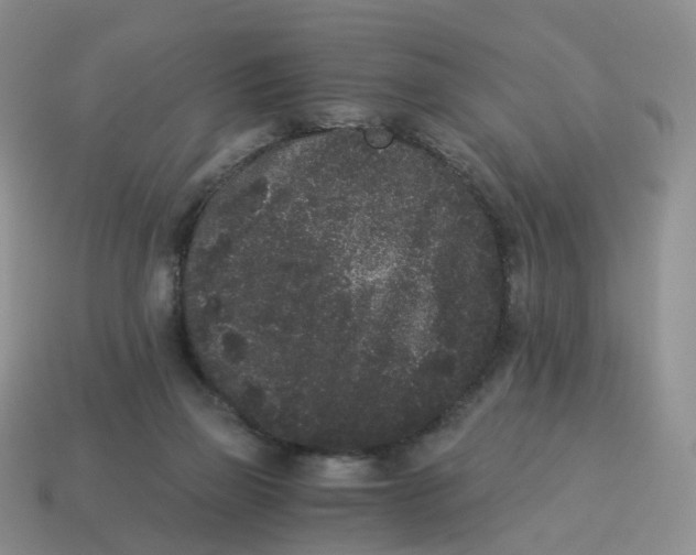 X0000114520165200911091158