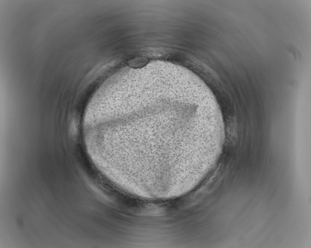 X0000114520166200911091158