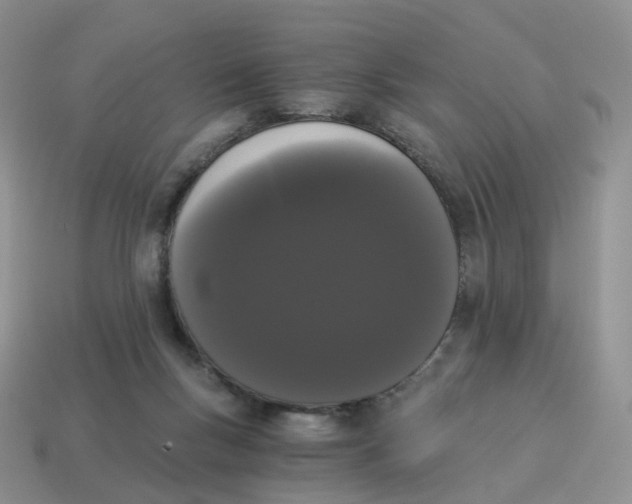 X0000114520167200911091158