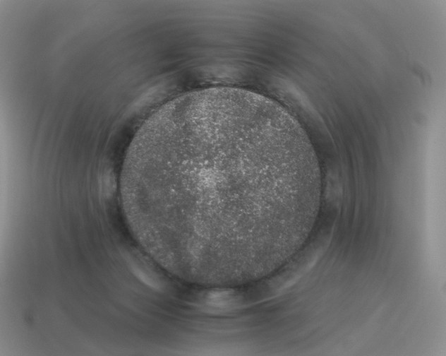 X0000114520173200911091158