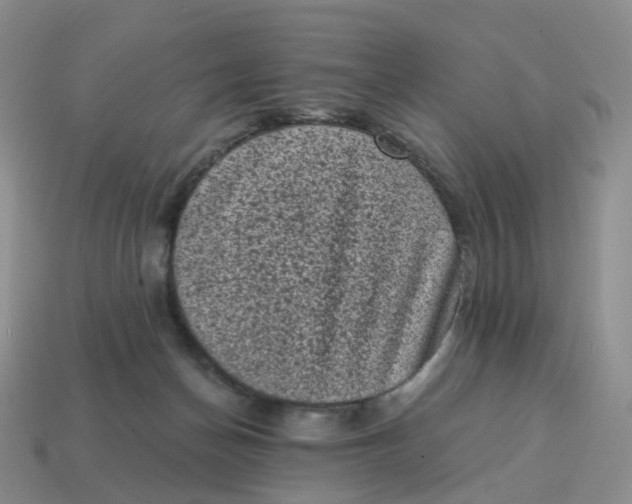 X0000114520174200911091158