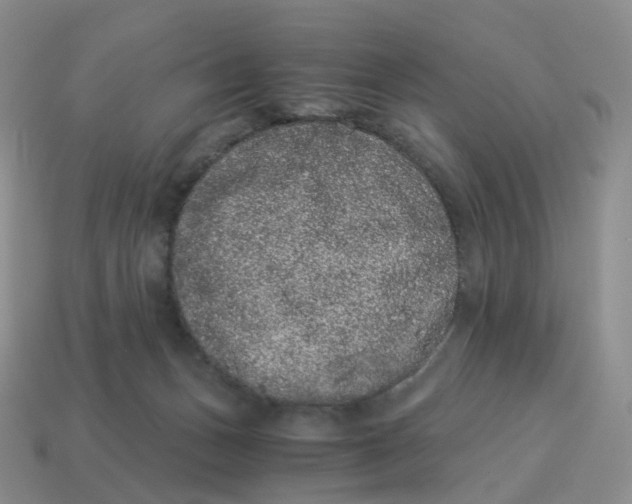 X0000114520175200911091158