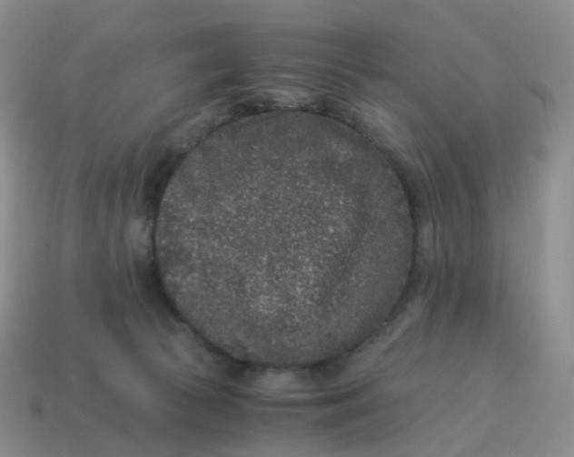 X0000114520177200911091158