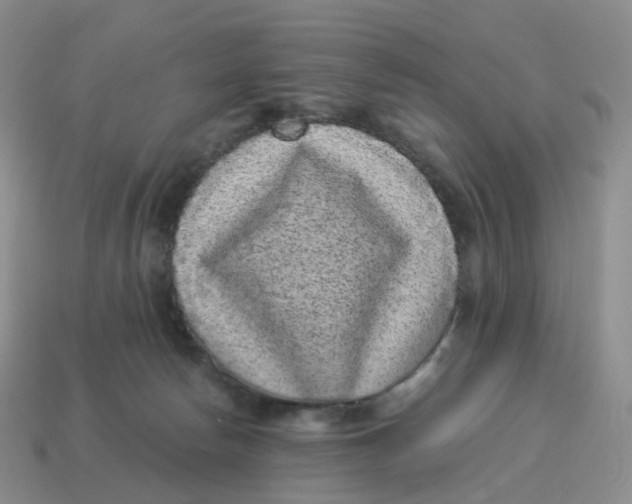 X0000114520178200911091158