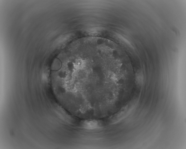 X0000114520181200911091158