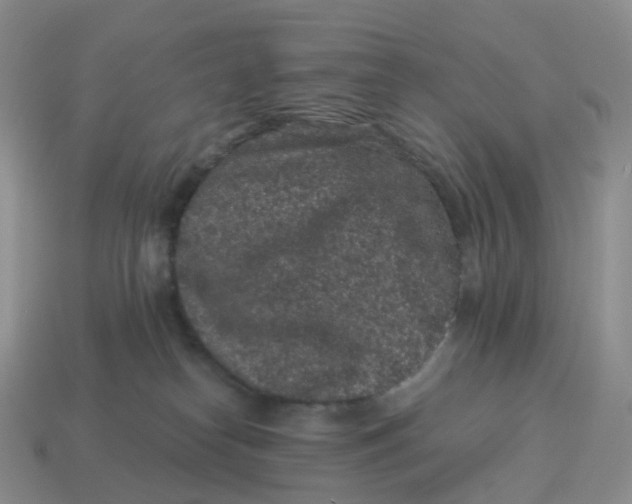 X0000114520182200911091158