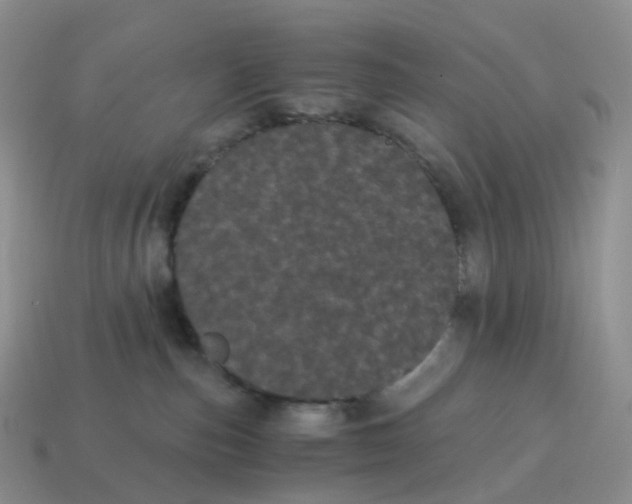 X0000114520187200911091158