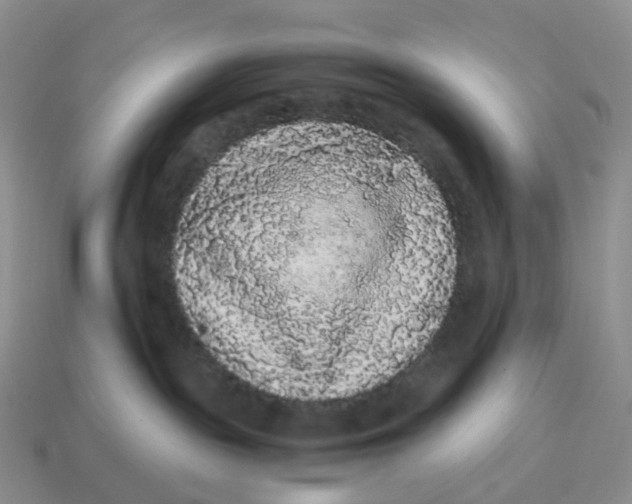 X0000114520189200911091158