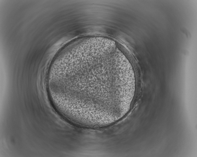 X0000114520193200911091157