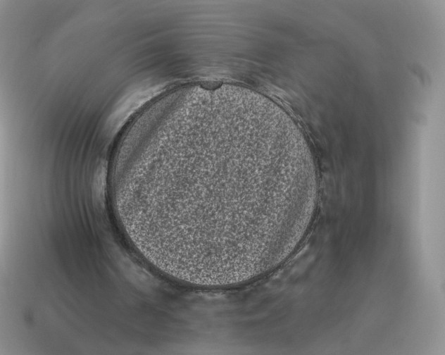 X0000114520194200911091157