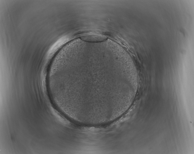 X0000114520197200911091157