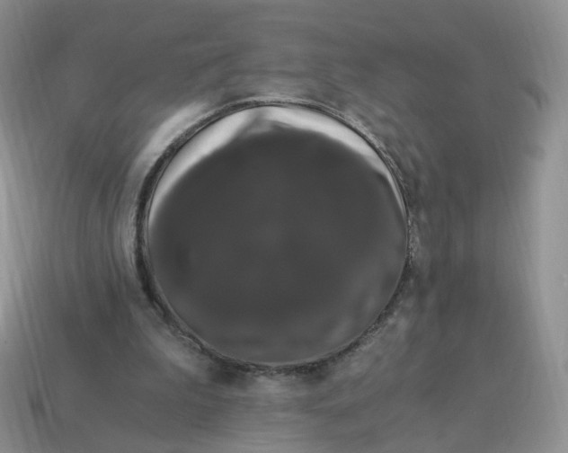 X0000114520199200911091157