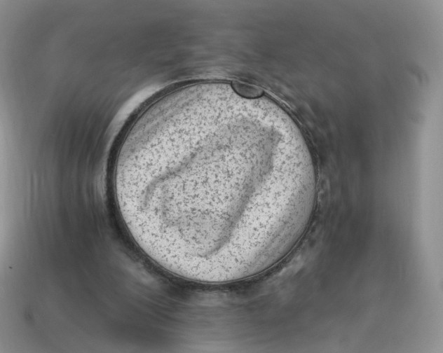 X0000114520200200911091157