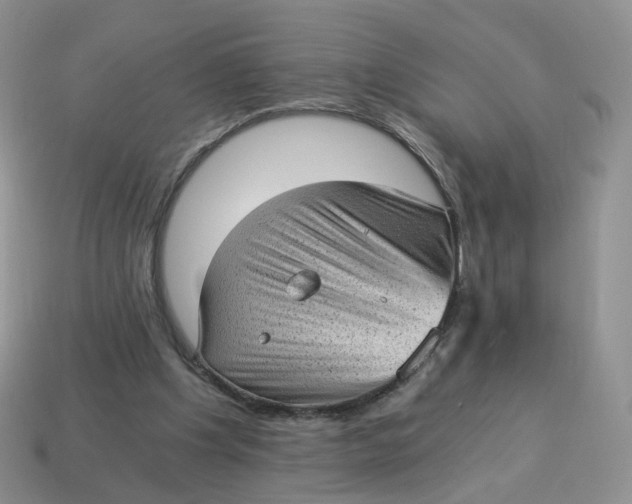 X0000114520201200911091157