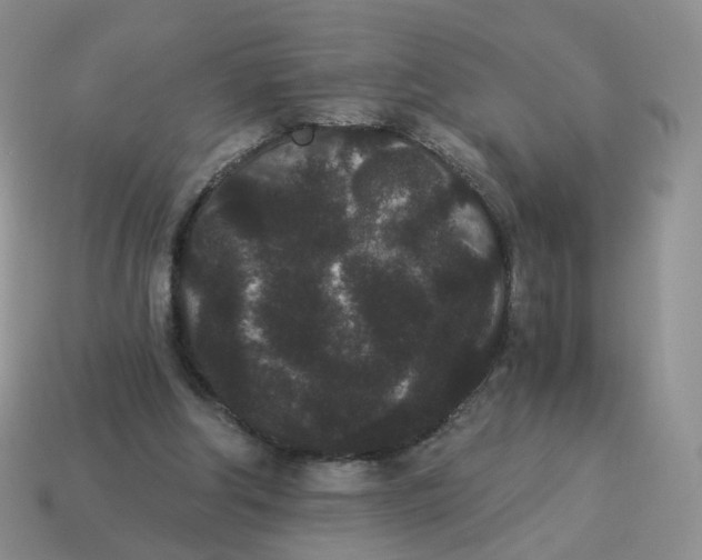 X0000114520202200911091157