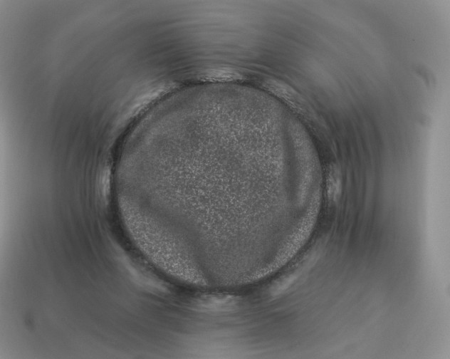 X0000114520206200911091157