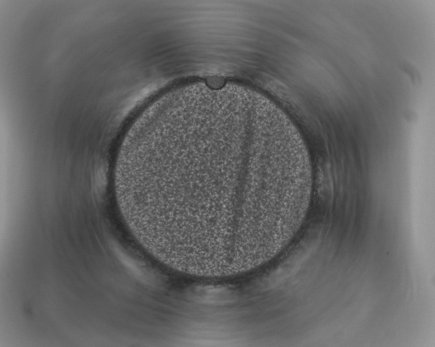 X0000114520208200911091157