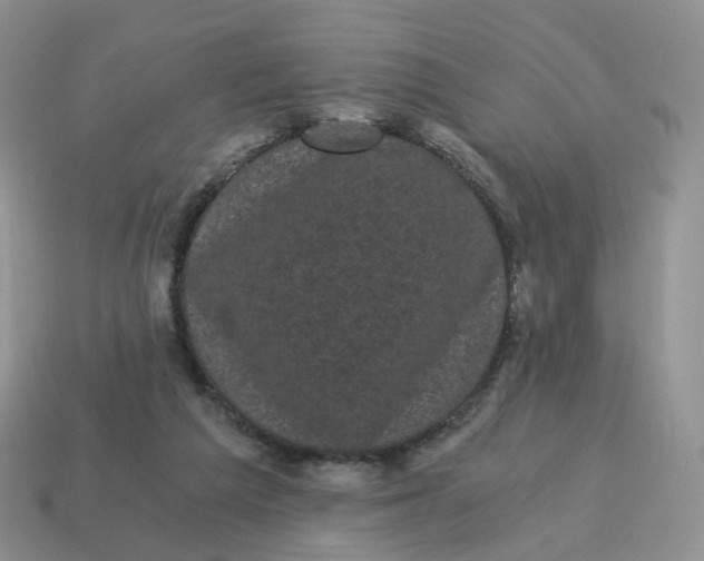 X0000114520209200911091157