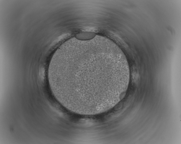 X0000114520211200911091157