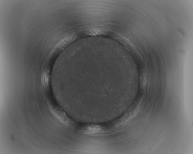 X0000114520214200911091157