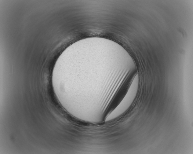 X0000114520215200911091157