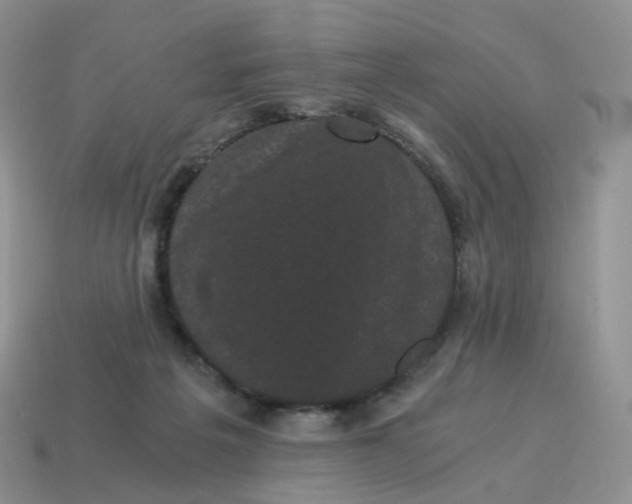 X0000114520217200911091157