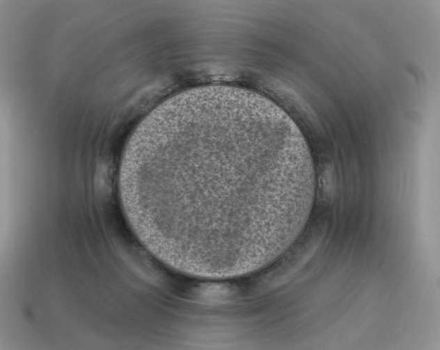 X0000114520218200911091157