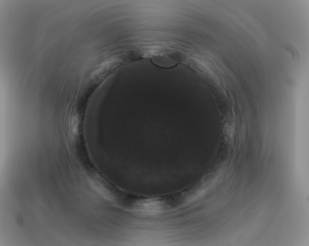 X0000114520219200911091157