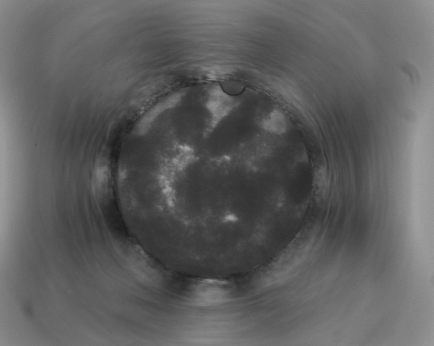 X0000114520222200911091157