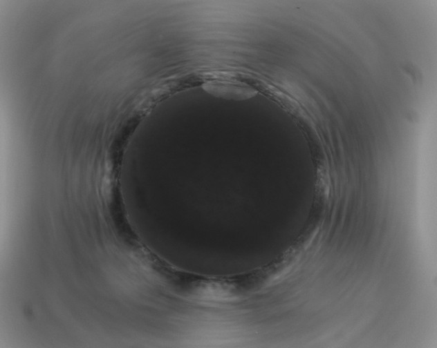 X0000114520223200911091157