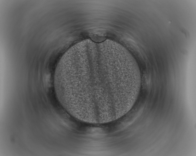 X0000114520224200911091157