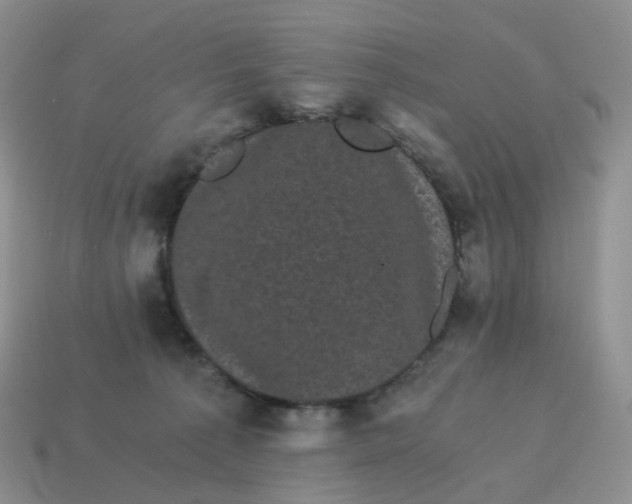 X0000114520225200911091157