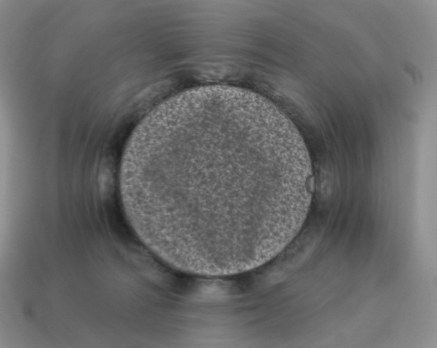 X0000114520226200911091157