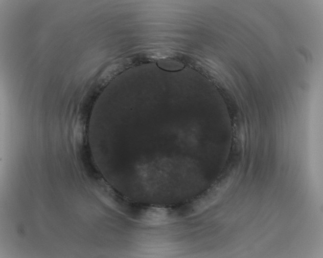 X0000114520227200911091157