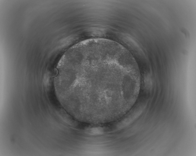 X0000114520228200911091157