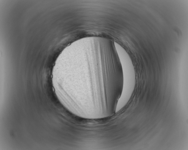 X0000114520229200911091157