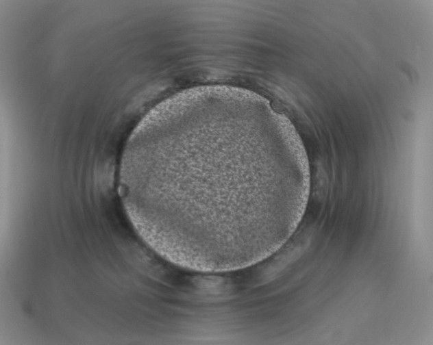 X0000114520230200911091157