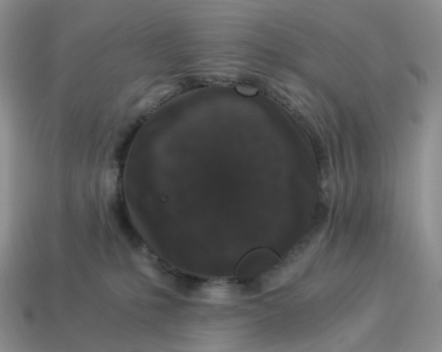 X0000114520231200911091157