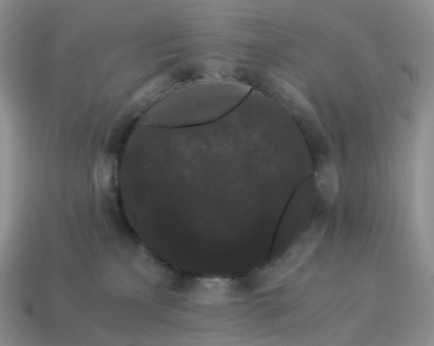 X0000114520233200911091157