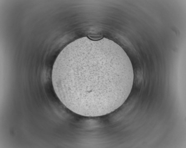 X0000114520236200911091157