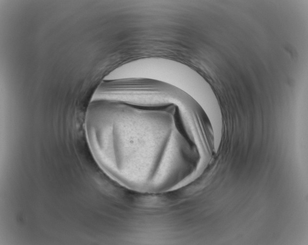 X0000114520237200911091157