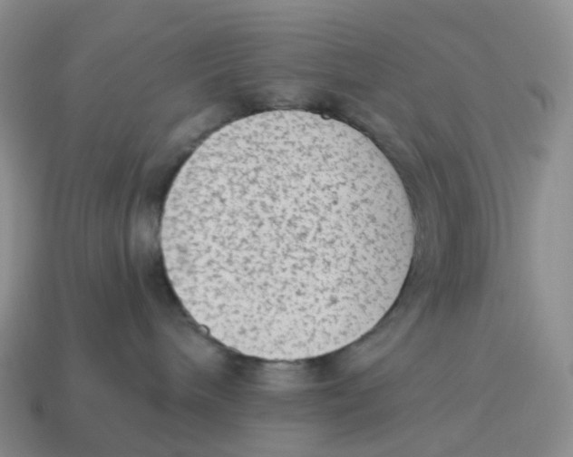 X0000114520240200911091157