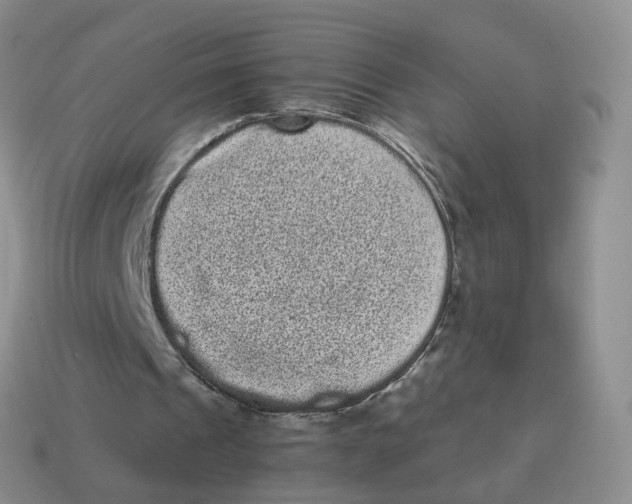 X0000114520241200911091156