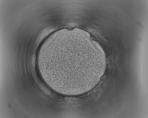 X0000114520242200911091156