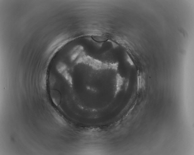 X0000114520243200911091156