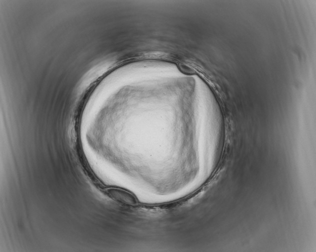 X0000114520245200911091156