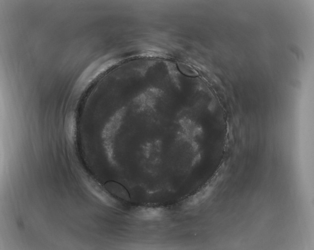 X0000114520247200911091156