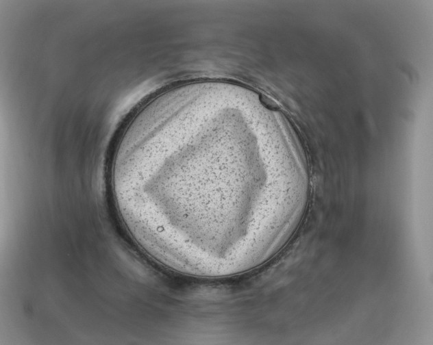 X0000114520248200911091156